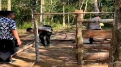 Polres OKU Selatan Gerebek Arena Sabung Ayam Digedung Nyawa Komitmen Tegakkan Hukum dan Jaga Moral Generasi Muda.