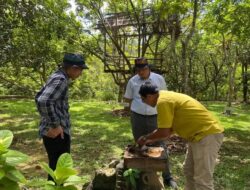 Madu Galo-Galo Cupiang Sawahlunto: UMKM Lokal yang Sukses Tembus Pasar Global