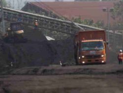 Laba PTBA Anjlok 59% di Semester I 2025, Tertekan Harga Batu Bara Global