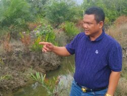 500 Hektar Sawit PT MAS Disorot, 25 Hektar Diduga Serobot Kawasan Mangrove & DAS