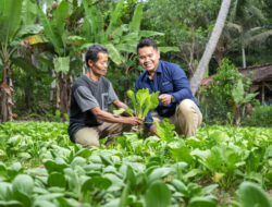 Perkuat Ekonomi Lokal, Bukit Asam Lewat Program Desa Impian dan Local Heroes