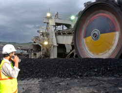 Saham PTBA: Bisnis, Kinerja, Dividen, dan Prospeknya