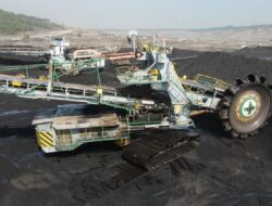 PTBA Bicara Soal Dividen 2025 di Tengah Anjloknya Harga Batu Bara
