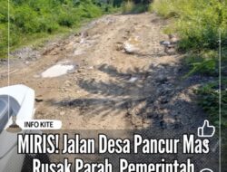 Jalan Desa Pancur Mas Rusak Parah, Warga Nilai Pemerintah Abai