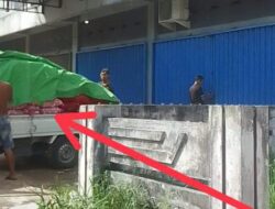 Dugaan Peredaran Bawang Ilegal Mengemuka di Pontianak, Tim Investigasi Soroti Gudang Misterius