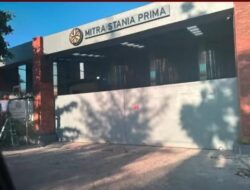 Dari Kayu Besi ke Sungailiat: Rantai Gelap Pasir Timah Ilegal Diduga Berlabuh ke PT MSP