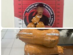 Polisi Amankan 2,7 Kg Ganja dari Seorang Pria di SPBU Lhoksukon