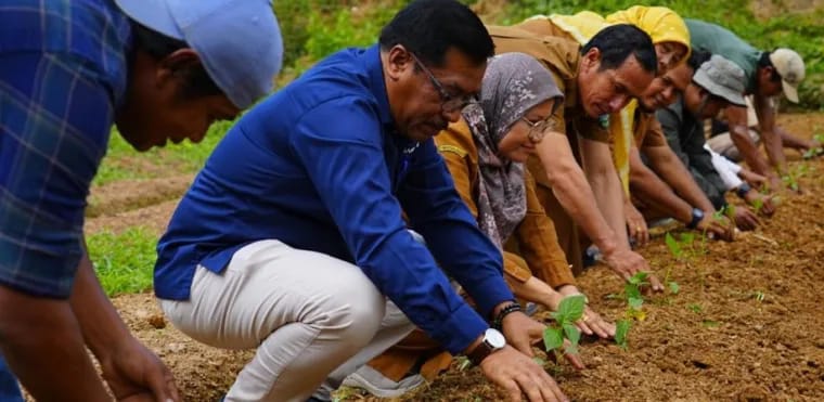 PT Bukit Asam Bantu 3.500 Bibit Cabai untuk Petani Desa Kolok Nan Tuo