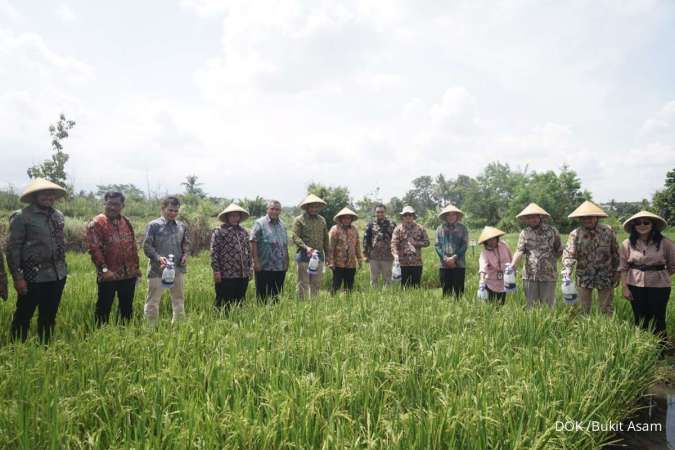 Olah Batubara Jadi Kalium Humat, Bukit Asam Dukung Swasembada Pangan