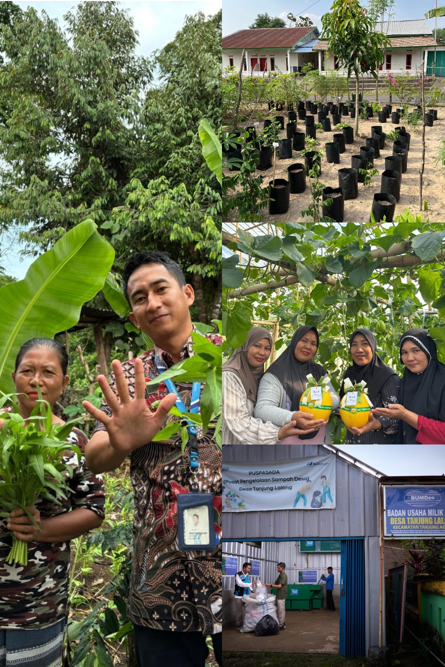 HBAP Toreh Prestasi Internasional Lewat Program Hijau Berbasis Agribisnis Pekarangan