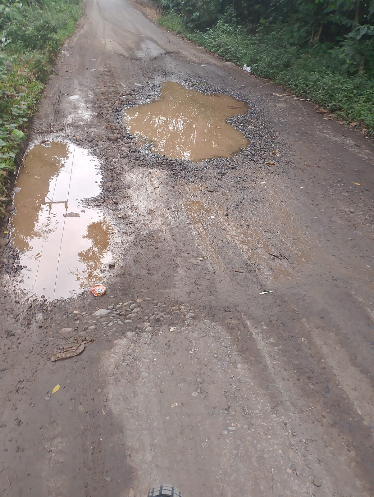 Antara Senyum dan Tangis: Warga Tiga Desa di Empat Lawang Menjerit Akibat Jalan Mirip Kubangan Kerbau