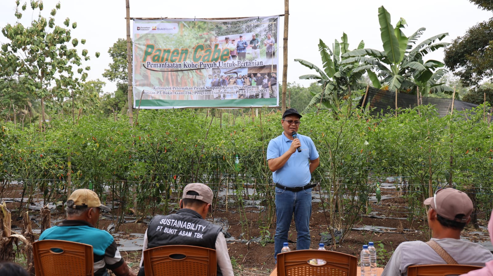 Panen Cabai dan Kerja Sama Bisnis Baru, Bukti Transformasi PETI Berjalan Sukses di Desa Darmo