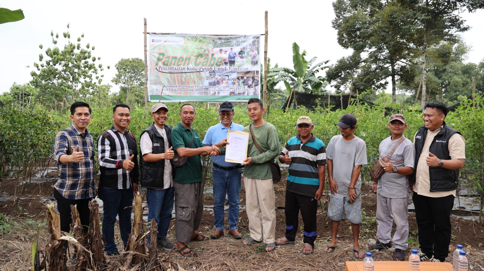 Binaan PTBA, Panen Cabai dan Kerja Sama Bisnis Baru