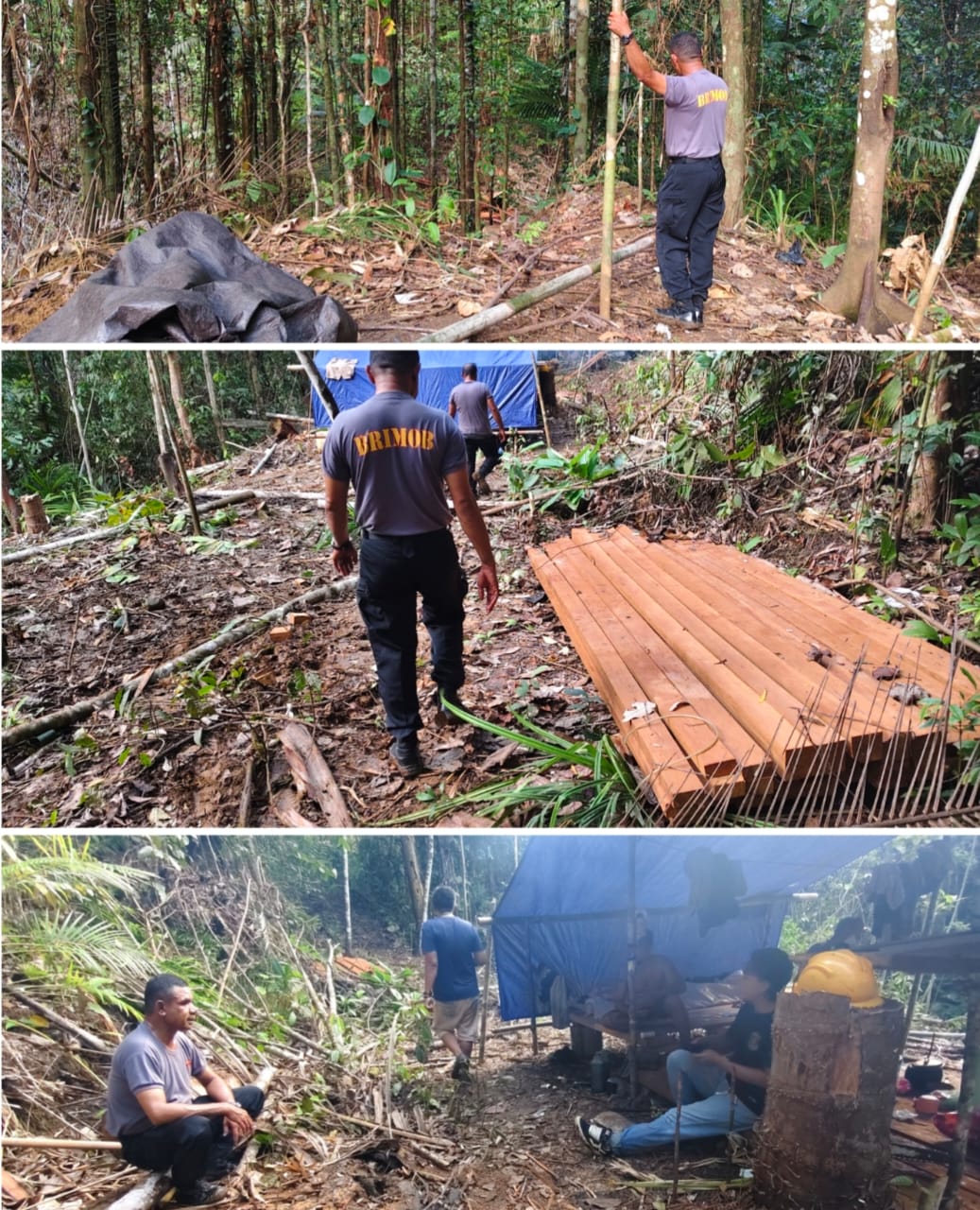 Kapolsek Wasile Hentikan Aktivitas Illegal Logging Di Kawasan Hutan PT MHI