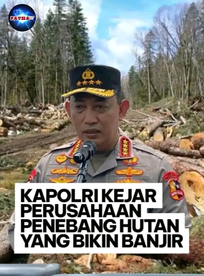 Kapolri Kejar Perusahan Penebang Hutang Yang Bikin Banjir