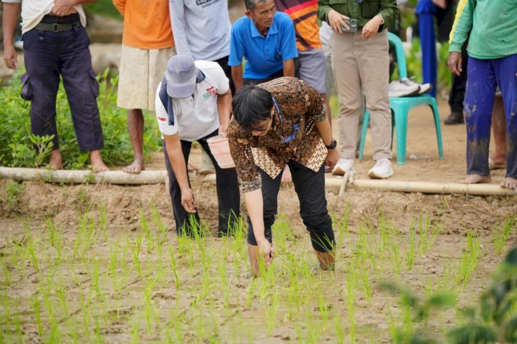 Uji Coba Kalium Humat, Bukit Asam Tingkatkan Produktivitas Pertanian di Muara Enim
