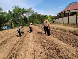 Dukung Ketahanan Pangan, Kapolres Melawi Perintahkan Seluruh Personel Terlibat Dalam Proses Tanam Jagung