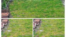 Aliran Sungai Menyempit, Eceng Gondok di Terate–Belanti Segera Dibersihkan