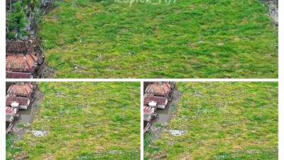 Aliran Sungai Menyempit, Eceng Gondok di Terate–Belanti Segera Dibersihkan