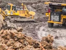 PTBA Jadi Buruan Pemodal, Potensi Cuan dan Dividen Menggiurkan