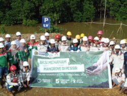 Wujud Kepedulian terhadap Lingkungan, PT Bartra Putra Mulia Tanam Mangrove di Desa Umera