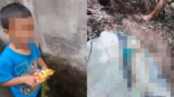 Tiga Hari Menghilang, Bocah Selong Ditemukan Tak Bernyawa di Laut Sekitar Pulau Moyo