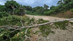 Pemalangan Jalan houling  Ancam Ratusan Pekerja Wasile, PT JAS dan PT ARA Terpaksa Kurangi Karyawan