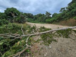 Pemalangan Jalan houling  Ancam Ratusan Pekerja Wasile, PT JAS dan PT ARA Terpaksa Kurangi Karyawan