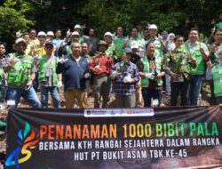 PT Bukit Asam Tarahan Port Tanam 1.000 Bibit Pala, Dukung Lingkungan dan Budaya K3