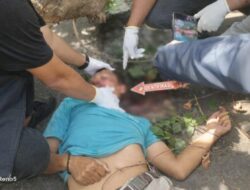 Pengemudi Ojek Online Tewas Tertimpa Pohon Tumbang Di Depan Samsat Palembang