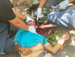 Pengemudi Ojek Online Tewas Tertimpa Pohon Tumbang Di Depan Samsat Palembang