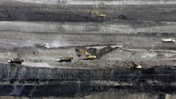 PTBA Pastikan Tetap Bagi Dividen Meski Laba Tahun 2025 Terkoreksi