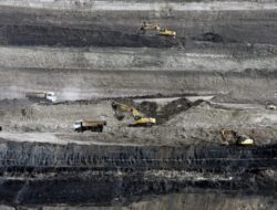 PTBA Pastikan Tetap Bagi Dividen Meski Laba Tahun 2025 Terkoreksi