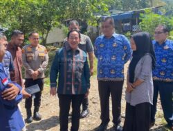 Dirut PTBA Tinjau UMKM Relokasi Pasar Silo Sawahlunto, Pedagang Keluhkan Kondisi Becek Saat Hujan