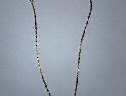 Polda Sumsel Tegaskan Komitmen Keamanan: Pelaku Jambret Di Seberang Ulu II Berhasil Ditangkap