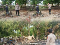 Rumah Kayu Di Dewantara Terbakar, Polisi Gerak Cepat Amankan TKP