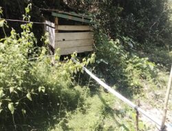 Bokimaake Bergejolak, Warga Soroti Hasil Audit