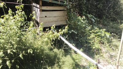 Bokimaake Bergejolak, Warga Soroti Hasil Audit