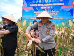 ‎Polres Pidie Hadiri Panen Raya Jagung Serentak Kuartal II, Dukung Swasembada Pangan Nasional