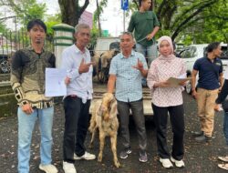 PT Bukit Asam Tbk Salurkan Hewan Qurban Ke IWO Lahat Sambut Idul Adha 1447 H