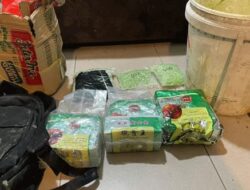 Pengungkapan Jaringan Narkoba Internasional di Karimun, Polisi Sita Sabu dan Ribuan Pil Ekstasi