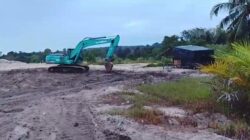 Tambang Ilegal di IUP PT Timah Belo Laut Diduga Dilindungi Oknum Kuat, Aparat Diminta Jangan Tutup Mata