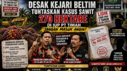 Kasus Sawit 270 Hektare Mandek, PP Beltim dan Almaster Babel Ancam Lapor Kejari Beltim ke Kejagung dan Komjak
