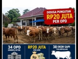 Diduga Ada Permintaan Dana Rp20 Juta Per OPD Untuk Pembelian Hewan Kurban di Lahat