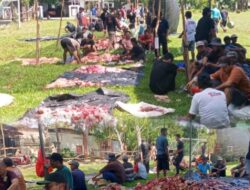 Meriah..!!! Masjid Nurul Huda Banjarrejo Lampung Timur Qurban 14 Ekor Sapi 5 Kambing, Kades: Berharap Warga Giat Menabung