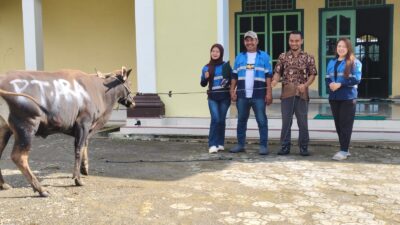 CSR PT ARA: Tujuh Desa di Wasile Terima Bantuan Sapi Kurban
