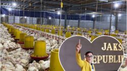 Akademisi Unmura Angkat Bicara, Kandang Ayam di Desa Suro Harus Sesuai RT/RW dan Dokumen Lingkungan