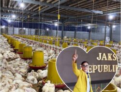 Akademisi Unmura Angkat Bicara, Kandang Ayam di Desa Suro Harus Sesuai RT/RW dan Dokumen Lingkungan