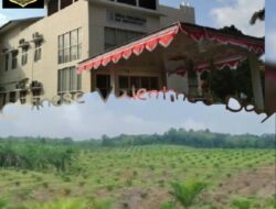Dugaan Penyimpangan Program PSR dan UPH di Muba Kembali Jadi Sorotan