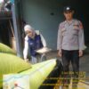 Dukung Ketahanan Pangan Nasional, Polsek Jayaloka Polres Musi Rawas Kawal Penyerapan Hasil Panen Jagung Petani ke Gudang Bulog